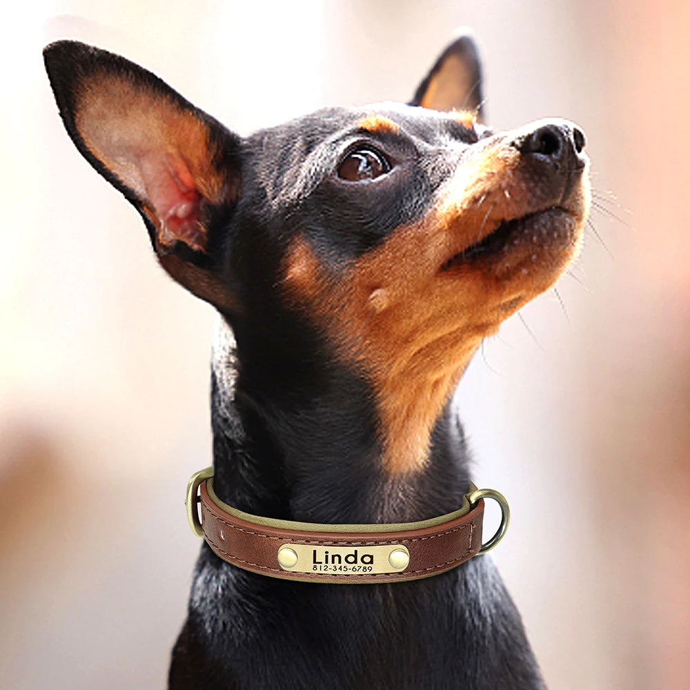 Customized PU Leather Dog Collar – Soft Padded Adjustable Collar with Free Nameplate Engraving for Small, Medium & Large Dogs