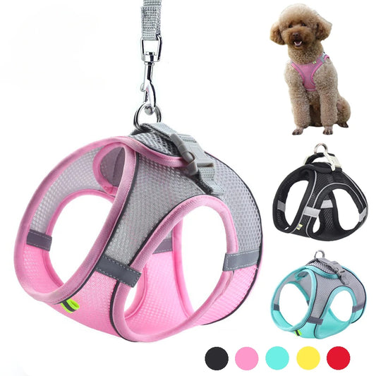 Adjustable Puppy & Cat Harness Set with Leash – Small Dog Vest for Chihuahua, French Bulldog, and Small Breeds