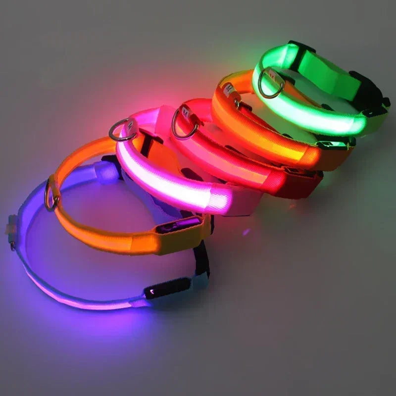 LED Glowing Dog Collar – Rechargeable Adjustable Luminous Night Safety Collar for Small Dogs