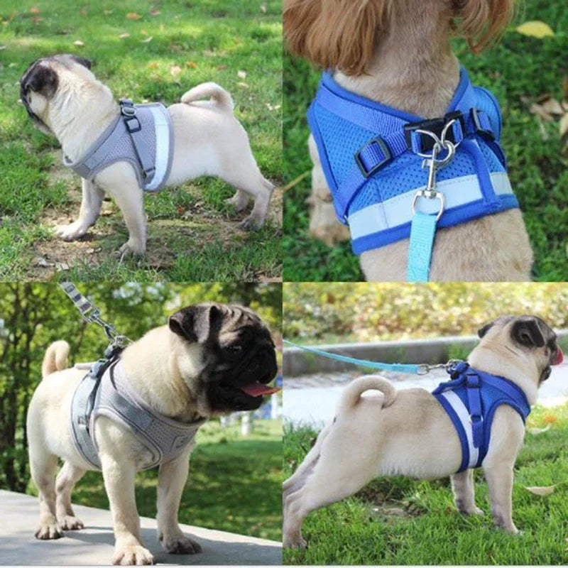 Adjustable Mesh Dog Vest Harness with Leash – Chest Strap Pet Harness XS/S/M/L/XL