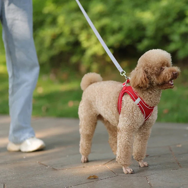 Adjustable Puppy & Cat Harness Set with Leash – Small Dog Vest for Chihuahua, French Bulldog, and Small Breeds