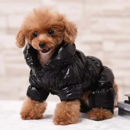 Faux Leather Waterproof Winter Jacket for Small Dogs Cats Puppy