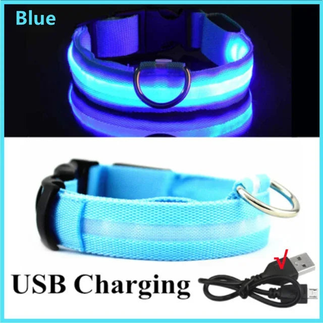 LED Glowing Dog Collar – Rechargeable Adjustable Luminous Night Safety Collar for Small Dogs