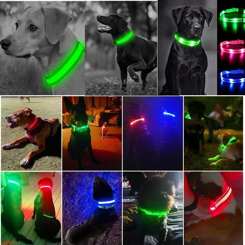 LED Glowing Dog Collar – Rechargeable Adjustable Luminous Night Safety Collar for Small Dogs
