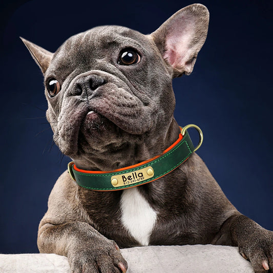 Customized PU Leather Dog Collar – Soft Padded Adjustable Collar with Free Nameplate Engraving for Small, Medium & Large Dogs