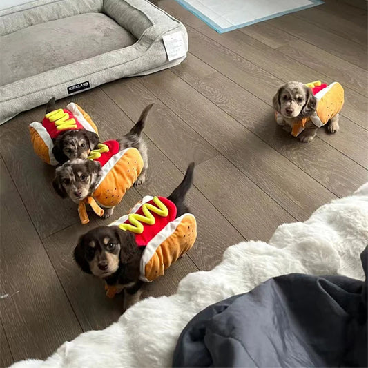 Funny Hot Dog Halloween Costume – Adjustable Outfit for Dogs & Cats