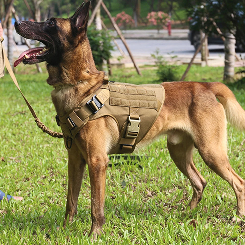 Large Dog Harness & Leash Set – Vest Training Harness for German Shepherd, Malinois, Medium & Large Dogs