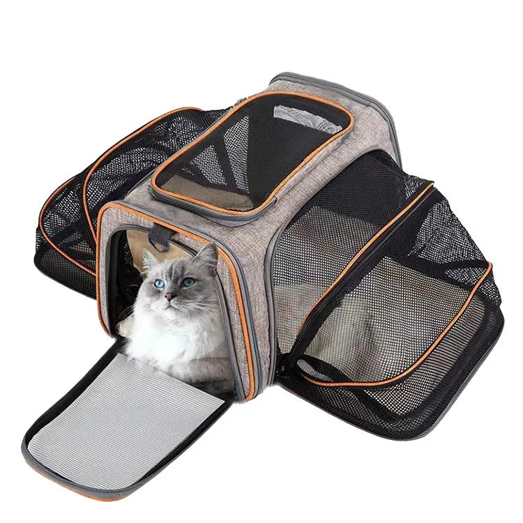 Foldable Expandable Pet Carrier Bag – Breathable Mesh Travel Bag for Cats & Small Dogs