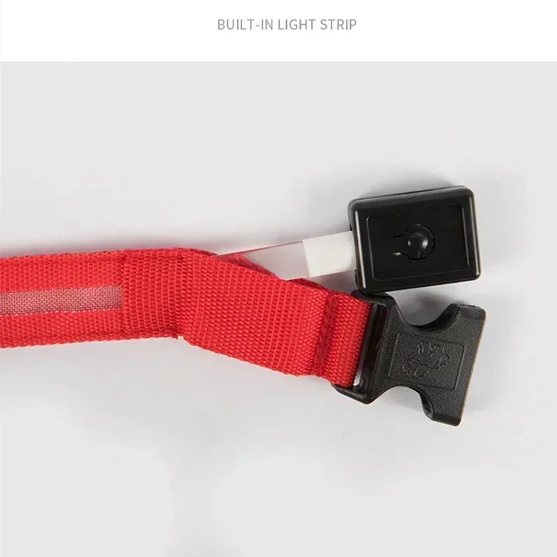 LED Glowing Dog Collar – Rechargeable Adjustable Luminous Night Safety Collar for Small Dogs