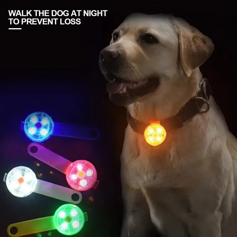 LED Safety Dog & Cat Collar – USB Rechargeable Weatherproof Glowing Light Collar
