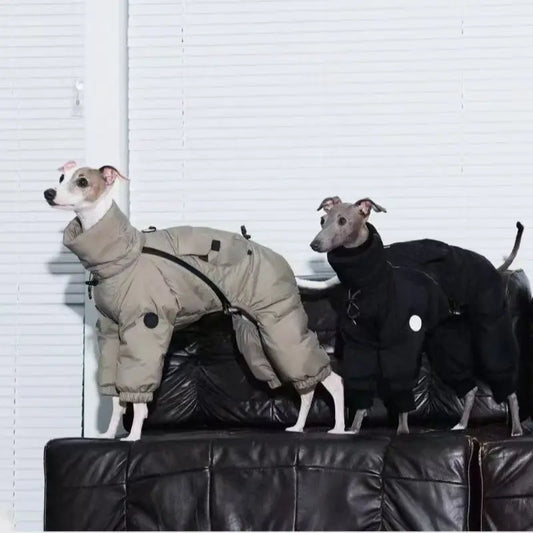 Windproof Thermal Winter Coat for Whippet Medium Dogs High Neck