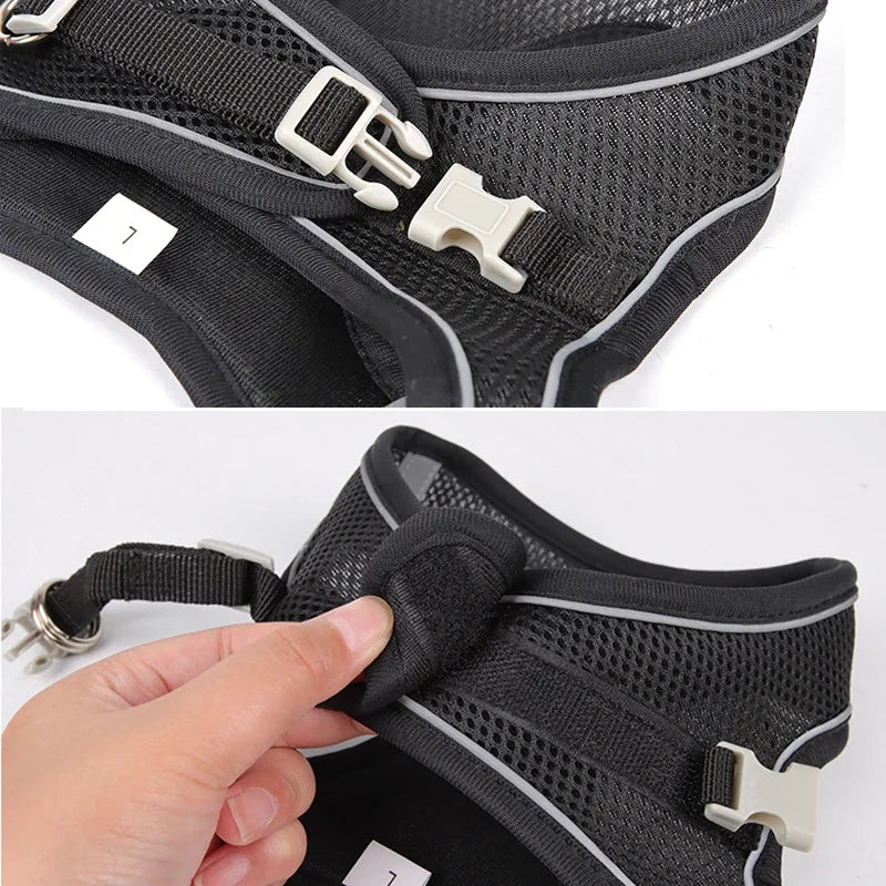 Adjustable Puppy & Cat Harness Set with Leash – Small Dog Vest for Chihuahua, French Bulldog, and Small Breeds