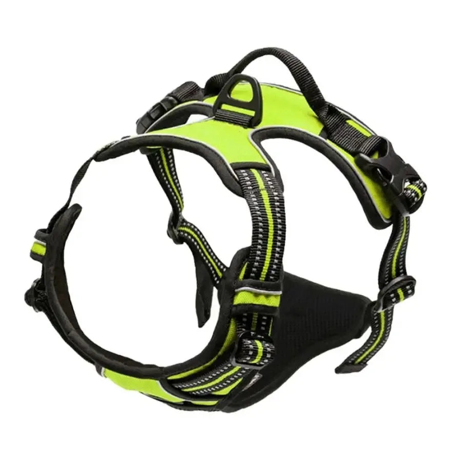 Dog Collars, Harnesses & Leash Set – Leather Puppy & Pet Accessories for Small and Medium Dogs