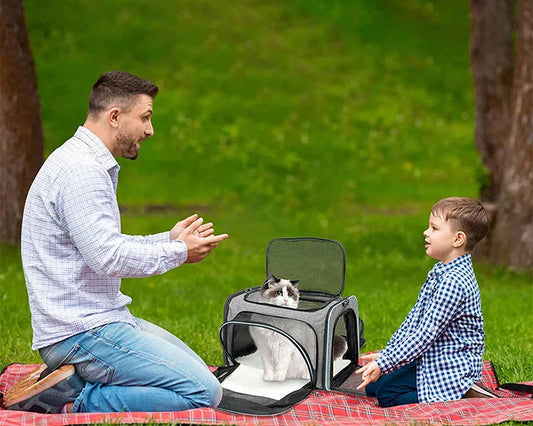 Foldable Expandable Pet Carrier Bag – Breathable Mesh Travel Bag for Cats & Small Dogs