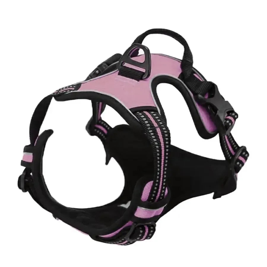 Dog Collars, Harnesses & Leash Set – Leather Puppy & Pet Accessories for Small and Medium Dogs