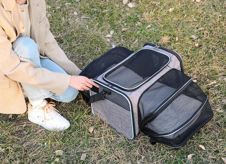Foldable Expandable Pet Carrier Bag – Breathable Mesh Travel Bag for Cats & Small Dogs