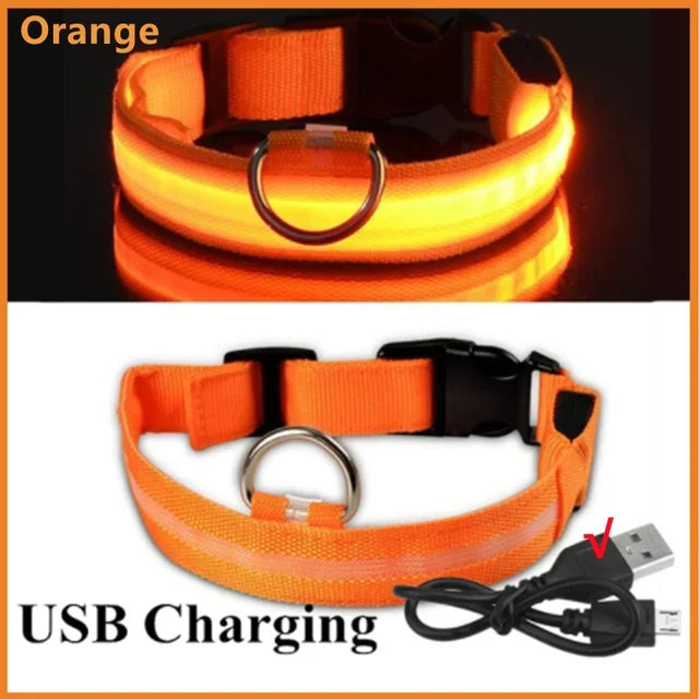 LED Glowing Dog Collar – Rechargeable Adjustable Luminous Night Safety Collar for Small Dogs