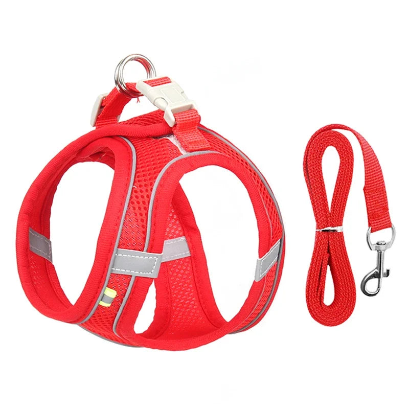 Adjustable Puppy & Cat Harness Set with Leash – Small Dog Vest for Chihuahua, French Bulldog, and Small Breeds