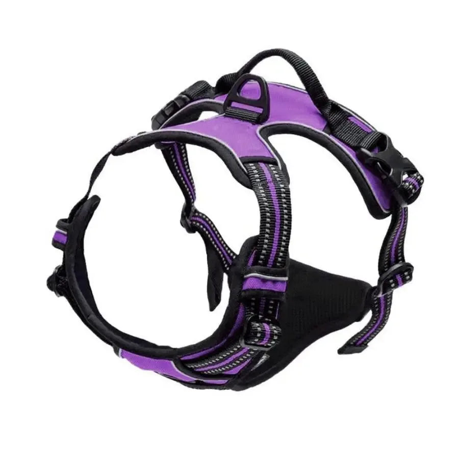Dog Collars, Harnesses & Leash Set – Leather Puppy & Pet Accessories for Small and Medium Dogs