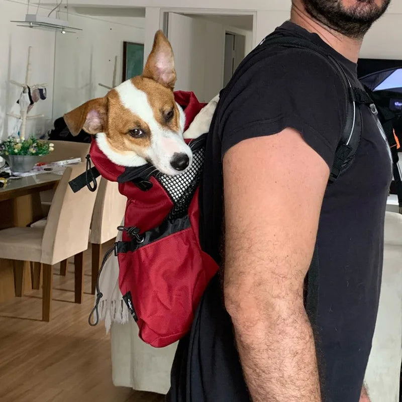 Strong Nylon Dog Carrier Backpack – Breathable Travel Bag for Small & Medium Dogs, Cycling & Outdoor Pet Backpack