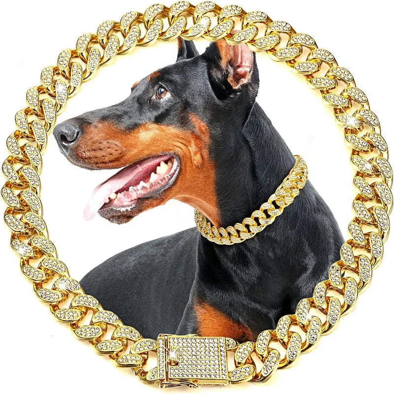 Luxury Gold Dog & Cat Chain Collar – Jeweled Metal Pet Necklace for Small, Medium & Large Pets