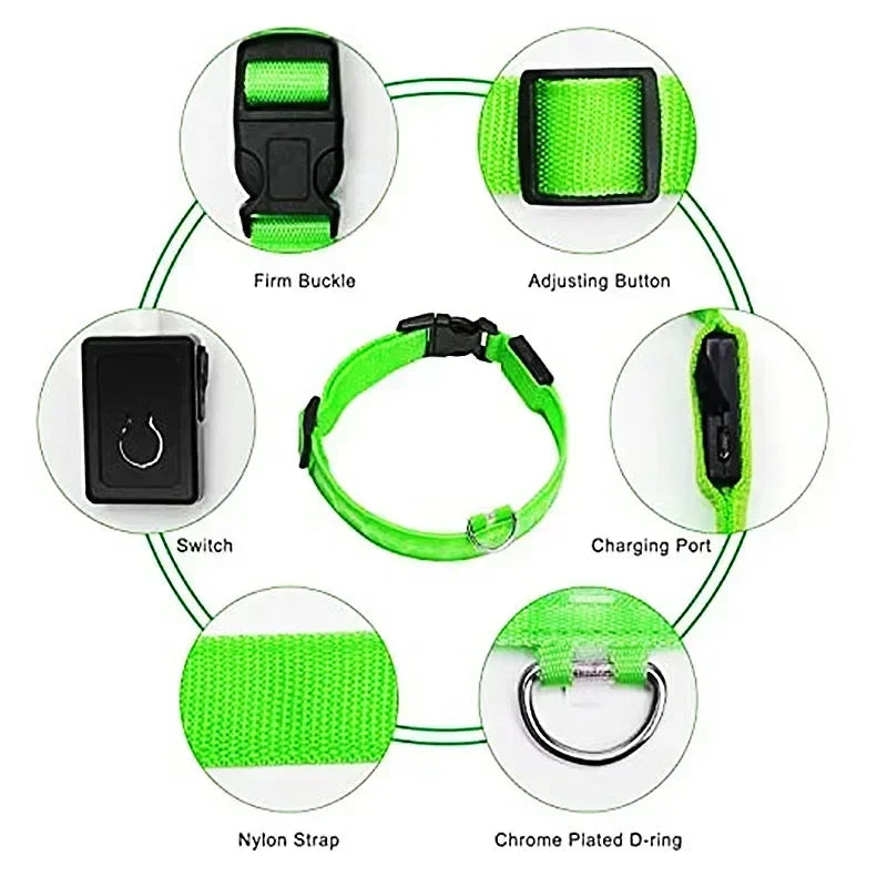 LED Glowing Dog Collar – Rechargeable Adjustable Luminous Night Safety Collar for Small Dogs