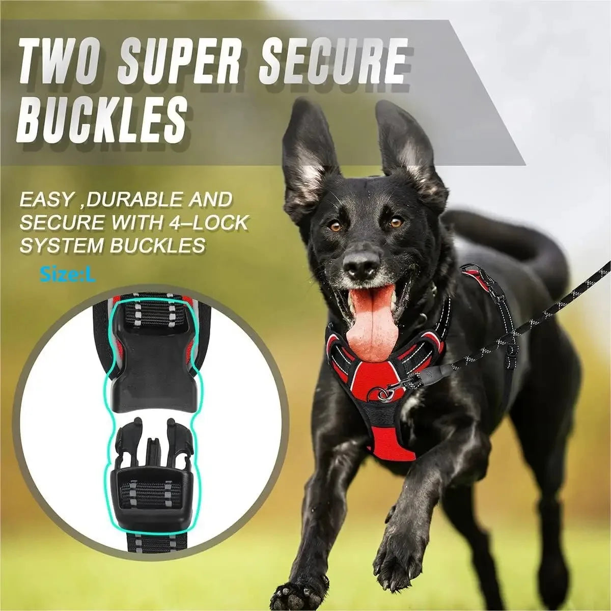 Dog Collars, Harnesses & Leash Set – Leather Puppy & Pet Accessories for Small and Medium Dogs
