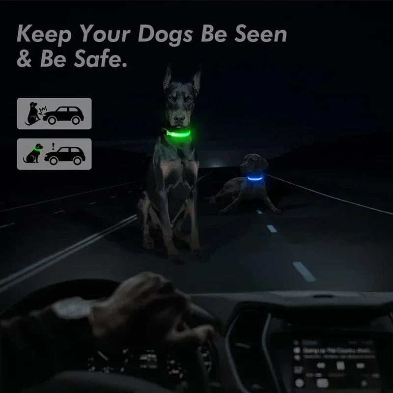 LED Glowing Dog Collar – Rechargeable Adjustable Luminous Night Safety Collar for Small Dogs