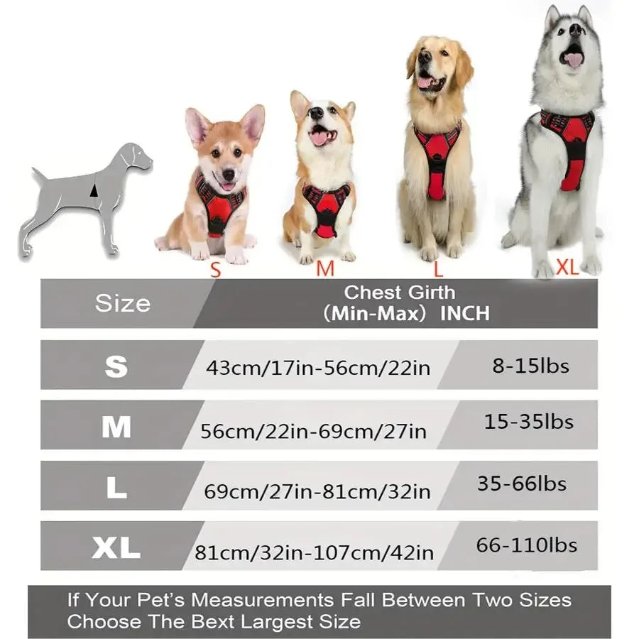 Dog Collars, Harnesses & Leash Set – Leather Puppy & Pet Accessories for Small and Medium Dogs
