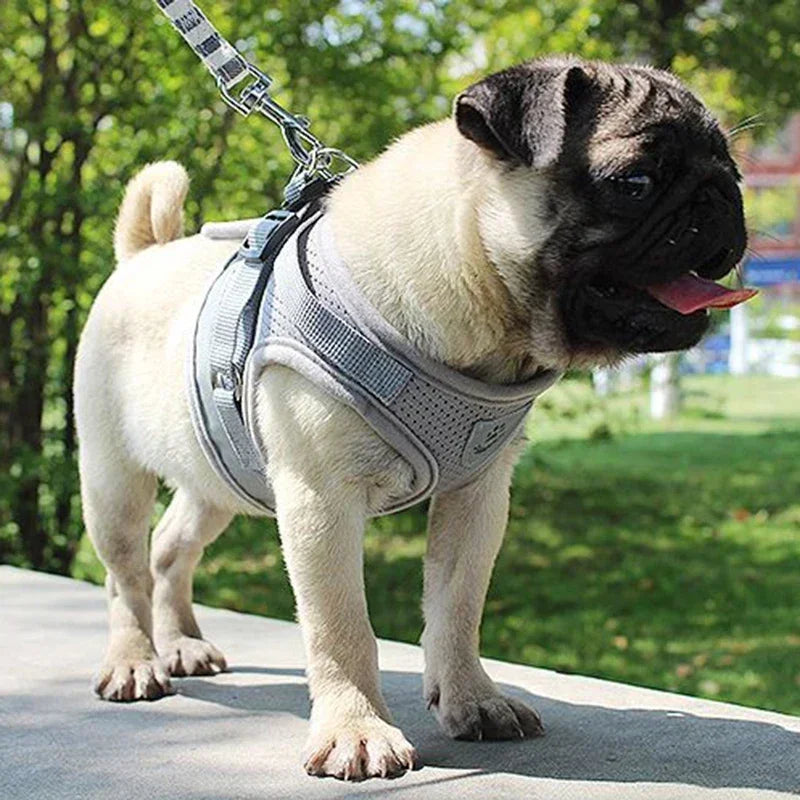 Adjustable Mesh Dog Vest Harness with Leash – Chest Strap Pet Harness XS/S/M/L/XL