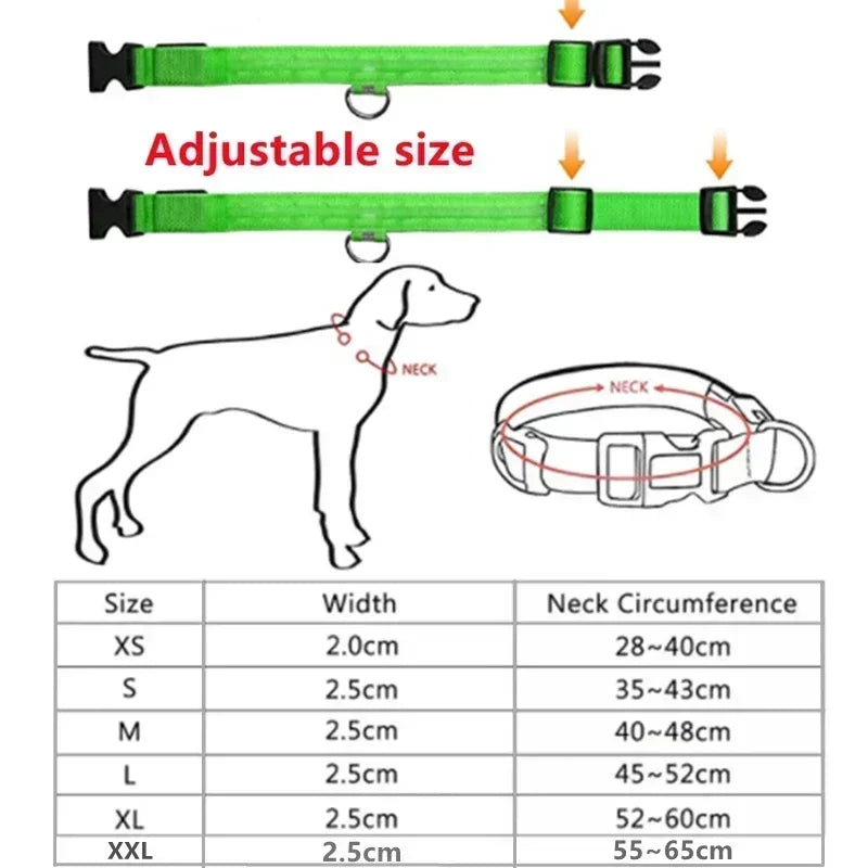 LED Glowing Dog Collar – Rechargeable Adjustable Luminous Night Safety Collar for Small Dogs