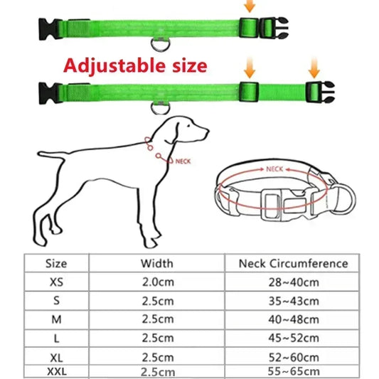 LED Glowing Dog Collar – Rechargeable Adjustable Luminous Night Safety Collar for Small Dogs