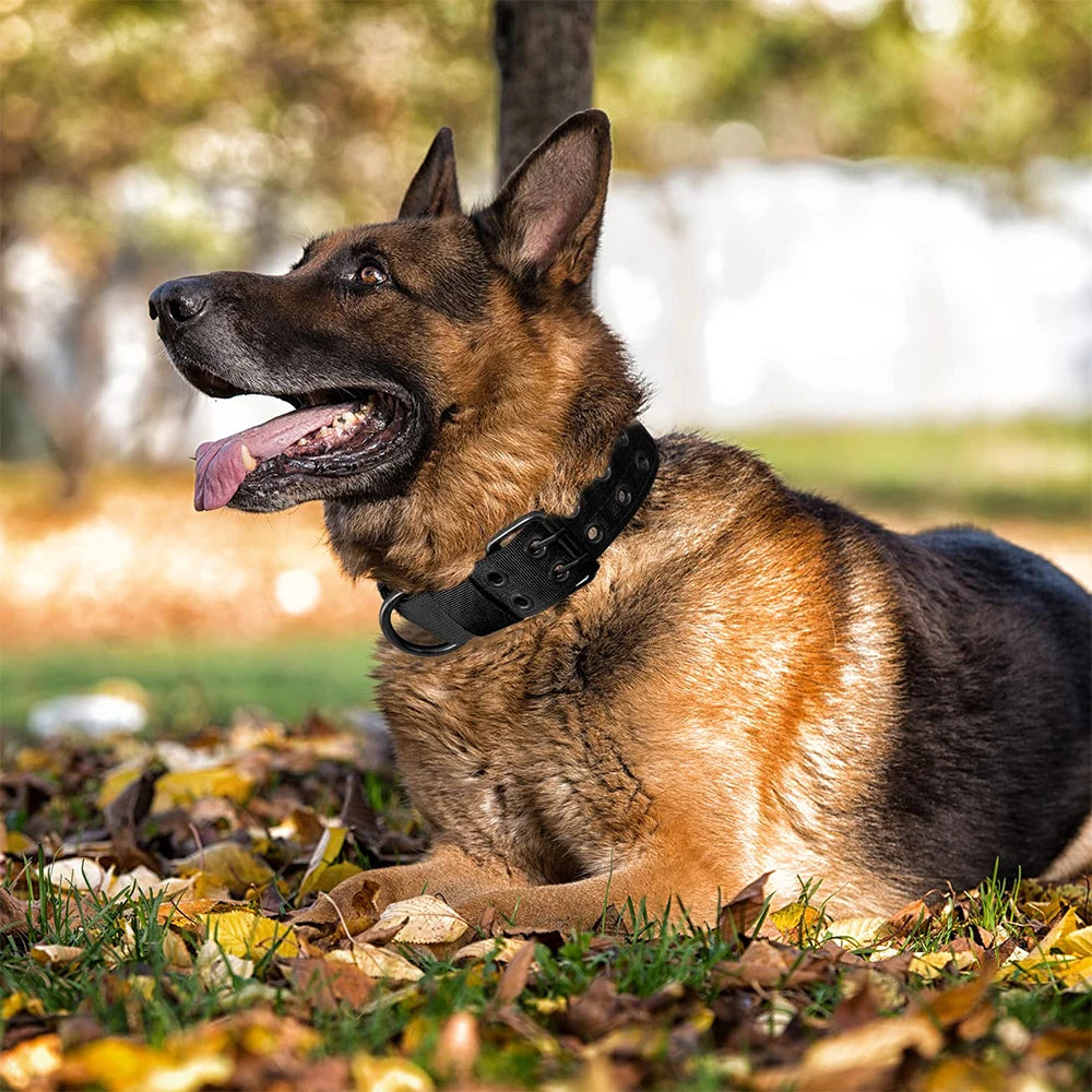 Tactical Dog Collar – Durable Nylon Military Collar for Medium & Large Dogs, Training and Outdoor Use