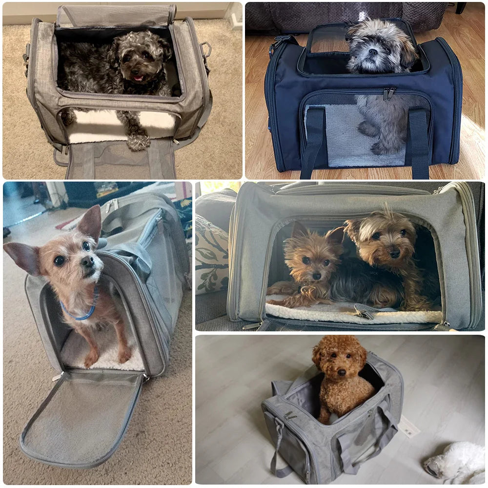 Airline Approved Dog & Cat Carrier Bag – Soft-Sided Waterproof Travel Backpack for Small Pets