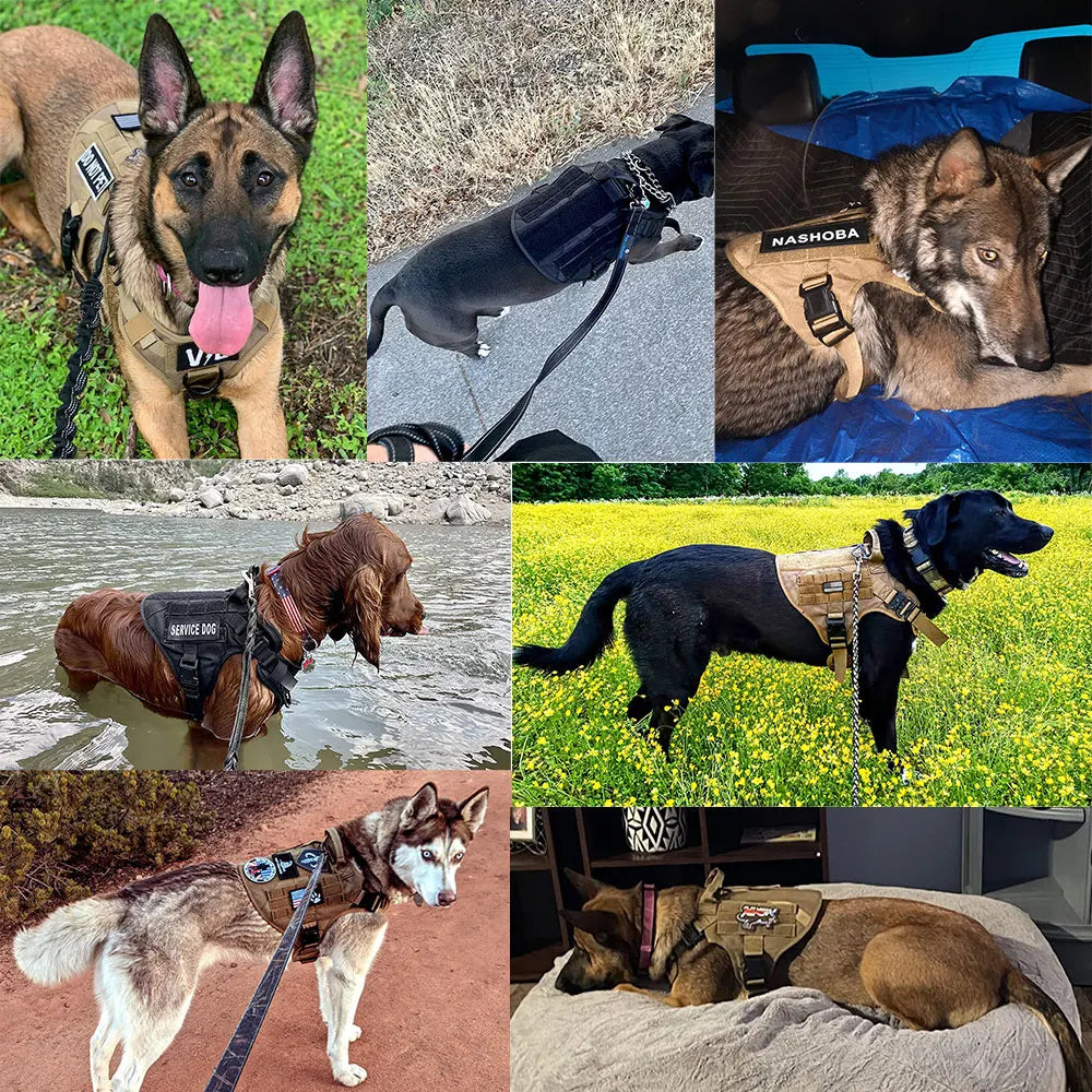 Large Dog Harness & Leash Set – Vest Training Harness for German Shepherd, Malinois, Medium & Large Dogs