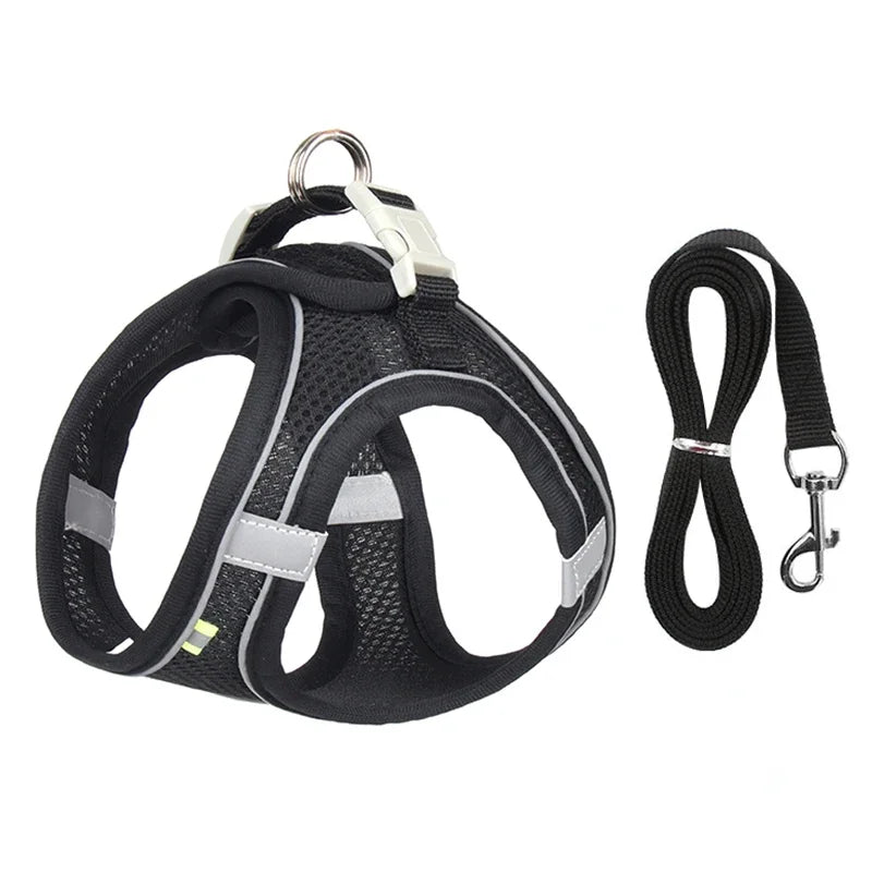 Adjustable Puppy & Cat Harness Set with Leash – Small Dog Vest for Chihuahua, French Bulldog, and Small Breeds
