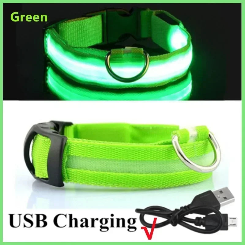 LED Glowing Dog Collar – Rechargeable Adjustable Luminous Night Safety Collar for Small Dogs