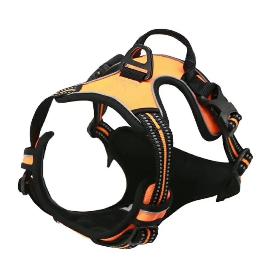 Dog Collars, Harnesses & Leash Set – Leather Puppy & Pet Accessories for Small and Medium Dogs