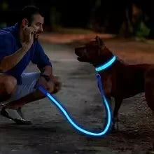 LED Glowing Dog Collar – Rechargeable Adjustable Luminous Night Safety Collar for Small Dogs