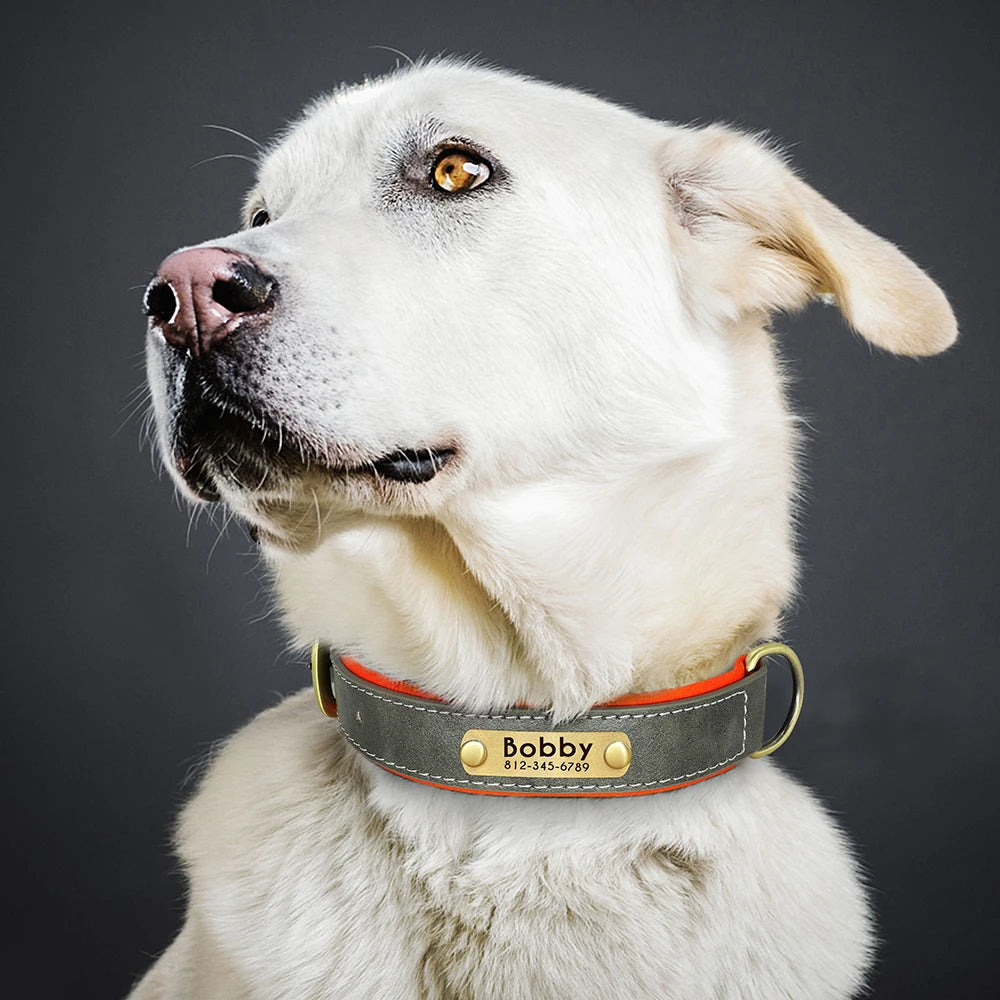 Customized PU Leather Dog Collar – Soft Padded Adjustable Collar with Free Nameplate Engraving for Small, Medium & Large Dogs