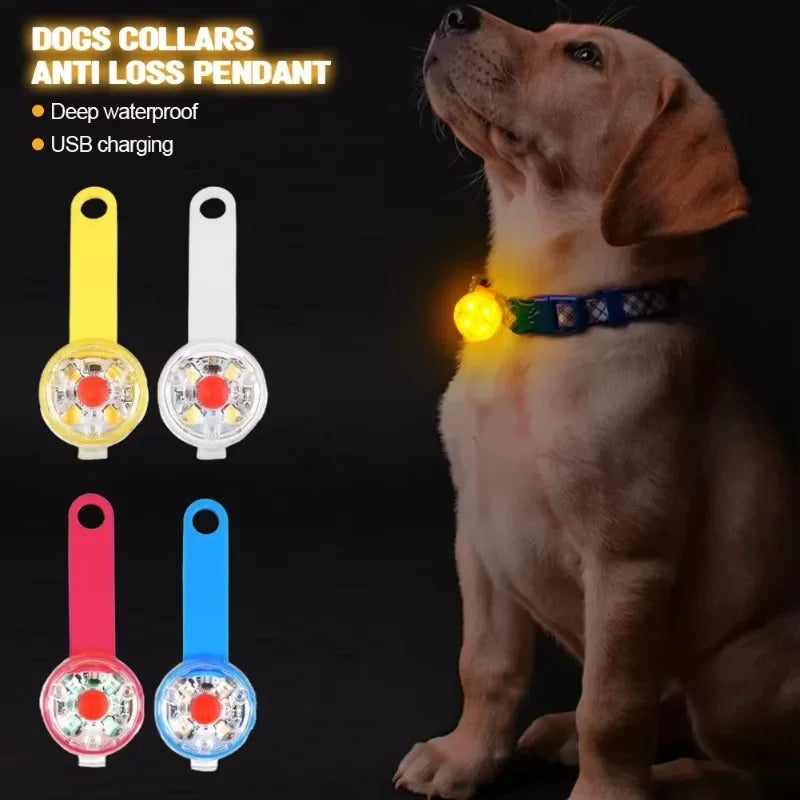 LED Safety Dog & Cat Collar – USB Rechargeable Weatherproof Glowing Light Collar