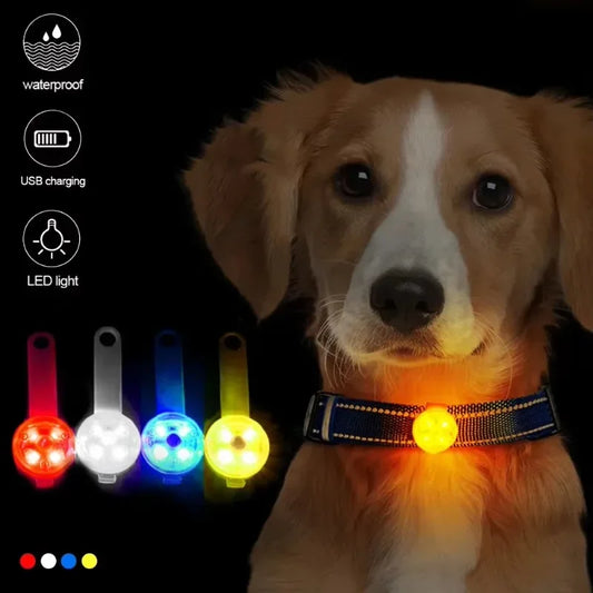 LED Safety Dog & Cat Collar – USB Rechargeable Weatherproof Glowing Light Collar