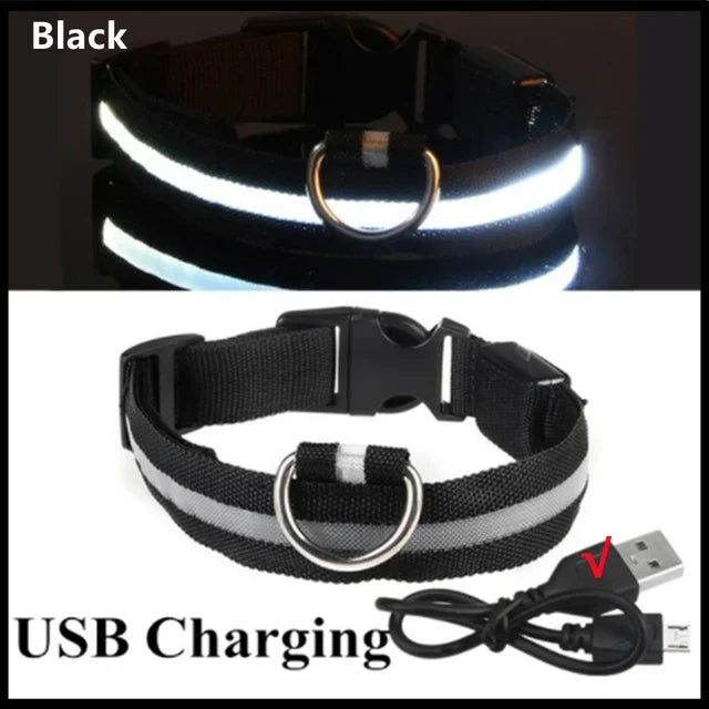 LED Glowing Dog Collar – Rechargeable Adjustable Luminous Night Safety Collar for Small Dogs