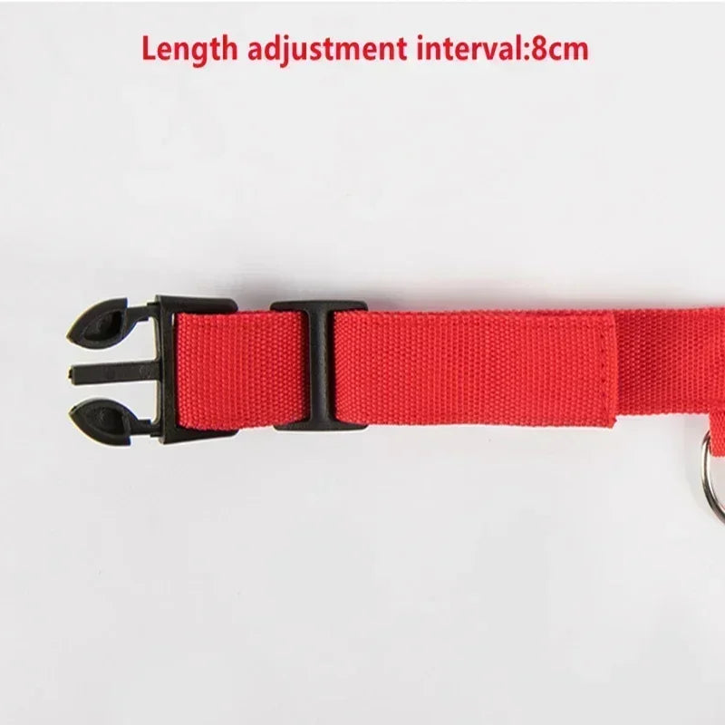 LED Glowing Dog Collar – Rechargeable Adjustable Luminous Night Safety Collar for Small Dogs