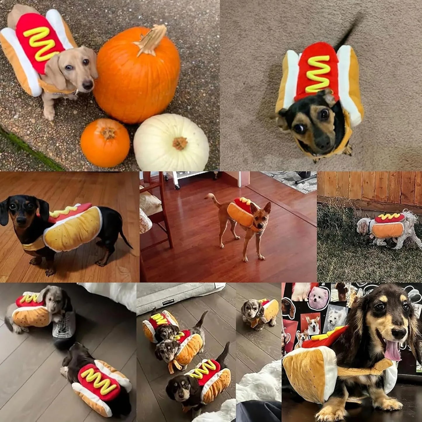 Funny Hot Dog Halloween Costume – Adjustable Outfit for Dogs & Cats