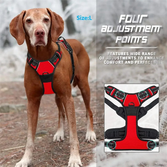 Dog Collars, Harnesses & Leash Set – Leather Puppy & Pet Accessories for Small and Medium Dogs