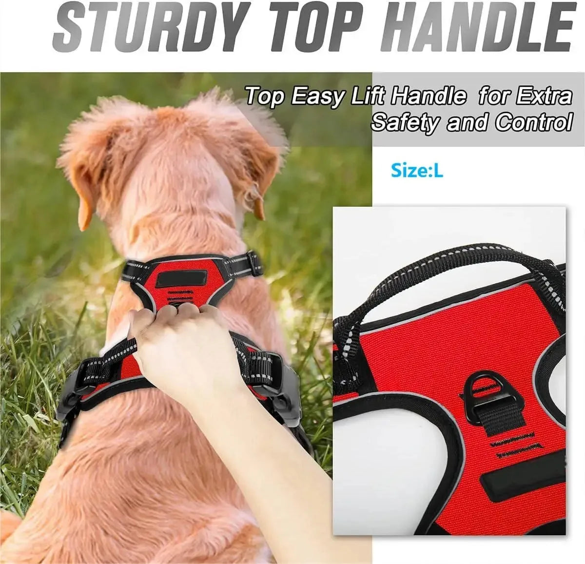 Dog Collars, Harnesses & Leash Set – Leather Puppy & Pet Accessories for Small and Medium Dogs