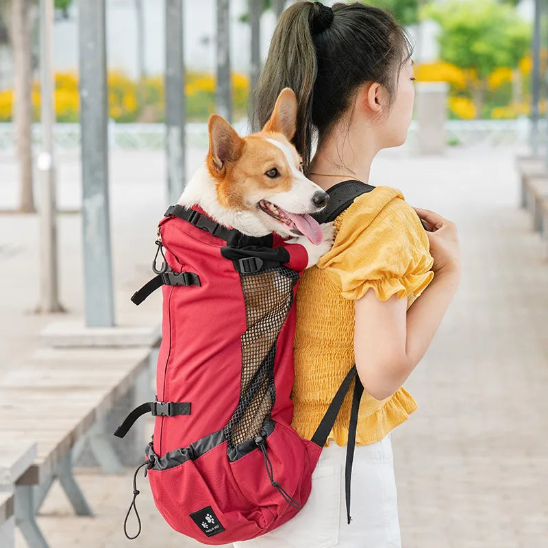 Strong Nylon Dog Carrier Backpack – Breathable Travel Bag for Small & Medium Dogs, Cycling & Outdoor Pet Backpack
