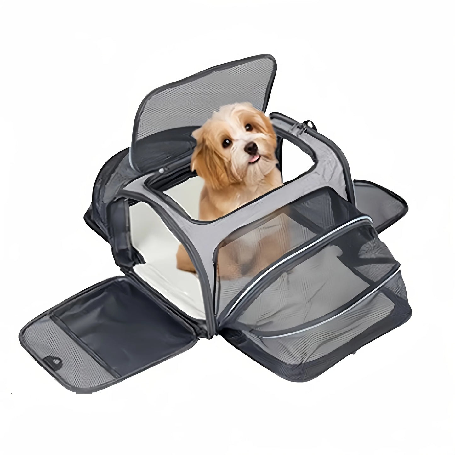 Foldable Expandable Pet Carrier Bag – Breathable Mesh Travel Bag for Cats & Small Dogs