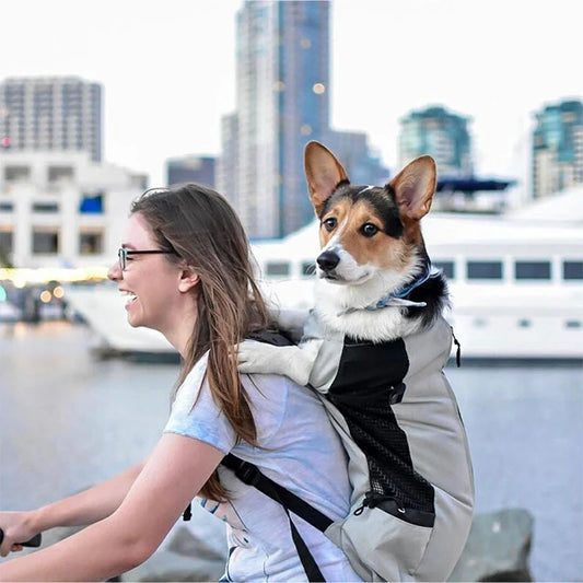 Strong Nylon Dog Carrier Backpack – Breathable Travel Bag for Small & Medium Dogs, Cycling & Outdoor Pet Backpack